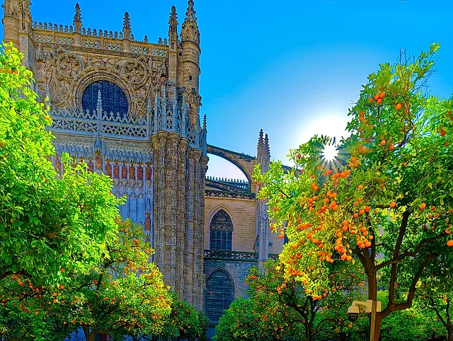 Aranci nel Patio de los Naranjos con le mura della cattedrale sullo sfondo